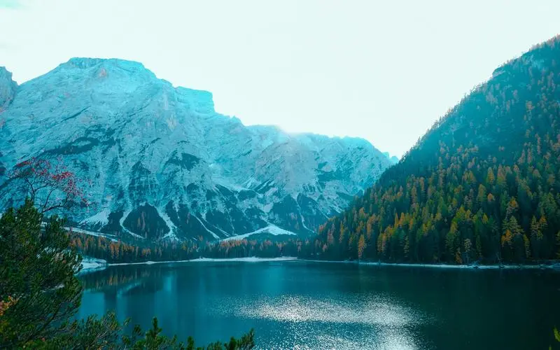 创新高端